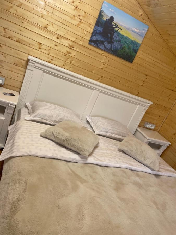 Pensiunea Alexolar New One Arada Экстерьер фото